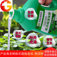 绿萝营养液肥料植物通用型盆栽发财树富贵竹室内水养花家用平安树