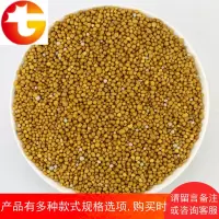多肉肥料 A2颗粒缓释肥盆栽 植物肥料花肥料 颗粒肥料