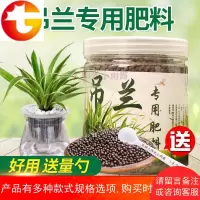 吊兰专用金边吊兰水培土培专用绿植花肥有机复合肥营养液 邮