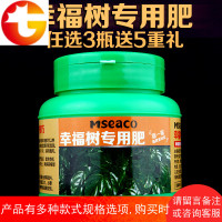 幸福树专用颗粒肥料花肥绿叶盆景盆栽营养黄叶室内绿植施肥养护