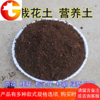 家用茶花营养土桂花树栀子花土种植土杜鹃绿萝专用腐殖土壤花肥料