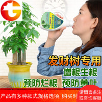 发财树肥料室内专用肥的营养液金钱幸福平安通用植物花草盆栽花卉