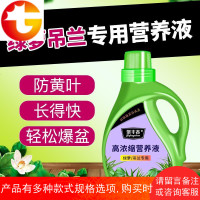 促生长水培绿萝吊兰植物营养液肥料防干叶黄叶