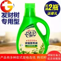 发财树专用营养液肥料室内盆景液体肥有机绿萝富贵竹盆栽黄叶绿叶