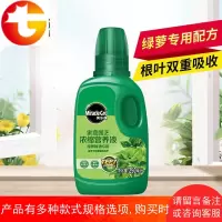 绿萝专用营养液浓缩肥料室内盆栽植物办公室绿植家用肥料