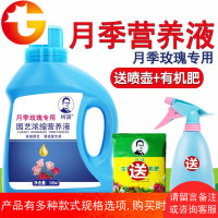 月季专用营养液玫瑰营养液观花型开花营养液月季专用肥