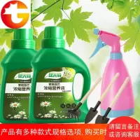 绿萝吊兰专用肥料营养液水养富贵竹多肉植物花草肥通用型室内 邮