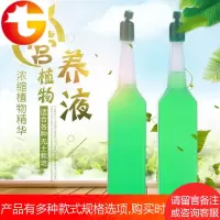 绿萝花综合养花富贵竹水养室内水培植物营养液绿萝专用实用绿箩。