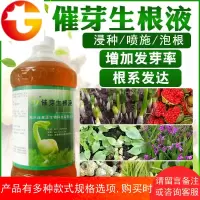 催芽生根剂粉白芨重楼催芽剂黄精专用快 芽营养液素种子