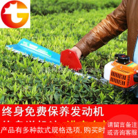 手提式汽油机绿篱机茶树茶叶修剪机采茶机绿化带小型剪枝机重修剪