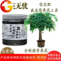 幸福树平安树龙须树肥料专用肥花肥有机复合肥缓释肥料氮磷钾 邮