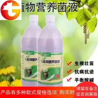 种植EM菌液1L花肥料植物营养液通用盆栽水培花卉叶面肥液体有机肥