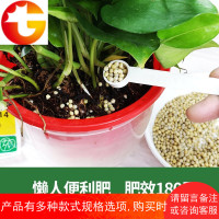 颗粒缓释肥绿萝花肥盆栽肥必开花便利长效肥花卉多肉绿萝兰花专用