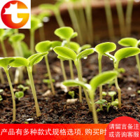 鑫土泥炭土 无土栽培营养土阳台种菜花卉花肥多肉植物土壮苗基质