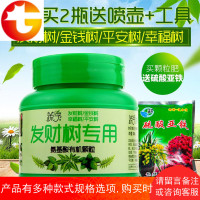 发财树金钱树幸福树平安树氨基酸有机颗粒肥料黄叶花肥专用肥固体