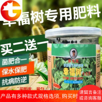 幸福树绿宝树富贵树专用颗粒肥料营养液有机治疗黄页烂叶养护套餐