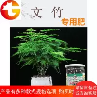 文竹专用肥文竹肥料有机肥营养液云片松刺天冬云竹肥料买2送1