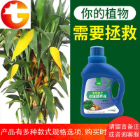 植物营养液土绿萝通用型花卉养花肥料盆栽水培发财树养花室内家用