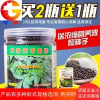 发财树专用肥料金钱树营养液绿萝肥平安树有机复合肥幸福树肥 邮