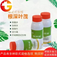 叶无双肥料花卉生根剂移植育苗快速生根粉壮苗剂通用营养液王大爷