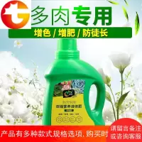 多肉浓缩营养液家用肥料花卉液体肥法师肉肉专用液肥防徒长增色土