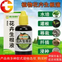 扦插植物快速生根液水花卉营养液体通用植物盆栽通用型 生根剂