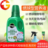 绣球营养液八仙花专用浓缩液体肥种花盆栽庭院花卉植物肥料