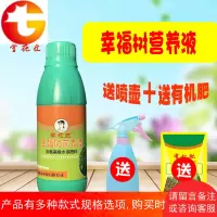 幸福树绿宝肥料营养液肥有机肥盆栽幸福树专用营养液防黄叶促生长