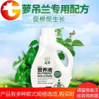 吊兰专用肥绿植盆栽水培绿箩植物通用花肥料叶面肥