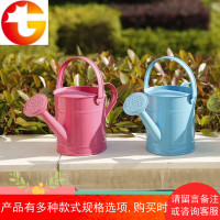 园艺喷壶家用浇花壶铁质彩色浇水壶儿童玩具幼儿园户外洒水桶1.5L
