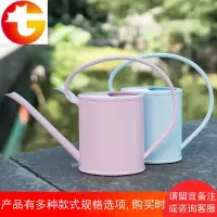 洒水壶园艺家用浇水壶长嘴浇花壶室内多肉浇花神器塑料懒人花壶