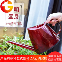 深邦园艺浇花壶洒水壶长嘴浇水壶家用中号琉璃透明壶室内浇花神器