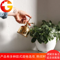 妙HOME brass黄铜 喷壶 浇花 喷雾器 多肉 小型 喷水壶金色盆水壶