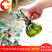 Fan home浇花喷壶喷雾器家用园艺洒水壶家用小型浇花壶压力喷水壶