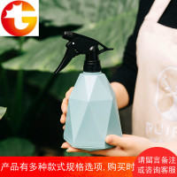 园艺浇花小喷壶家用手压式喷雾器办公室内盆栽喷水壶糖果色浇水壶