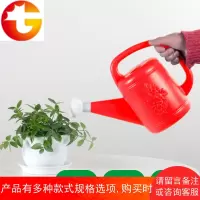 洒水壶浇花家用 淋花喷壶浇花水壶大号浇水器盆栽 喷水壶园艺浇花