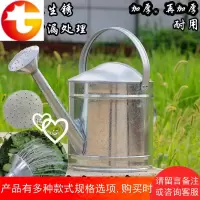 纯手工加厚不锈铁喷壶白铁皮壶浇菜壶浇花喷壶铁皮洒水壶塑料喷壶