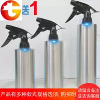 不锈钢喷壶喷雾瓶喷水器洒水壶头发美发喷壶浇花壶小型园艺喷壶