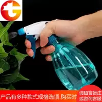 喷壶洒水小喷水壶园艺工具浇花喷壶喷瓶花卉压力喷雾器手压浇水瓶
