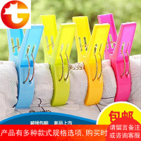 固定夹子夹子防风夹防滑凉嗮衣架夹子凉衣夹蚊帐塑料晒晾被夹被子