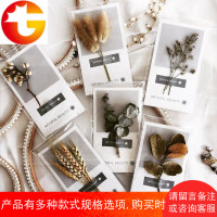 文艺清新复古干花明信片 情人节教师节定制贺卡卡片 6张套装