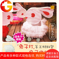 创意新年兔子灯DIY手工制作材料包自制春节灯笼元宵花灯手提led光