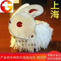 传统兔子灯DIY手工材料包新年儿童猪年灯笼春节元宵花灯拖拉兔灯