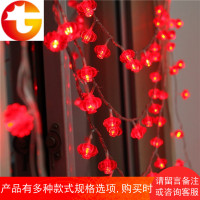 led小彩灯闪灯串灯满天星网红宿舍房间布置装饰小灯笼星星灯串