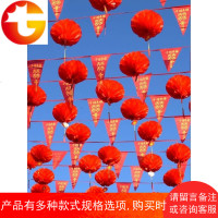 结婚庆小红灯笼挂饰婚礼场景布置开业喜庆用品户外喜字纸灯笼装饰
