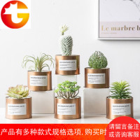 仿真植物多肉假草小盆栽北欧绿植仙人掌室内桌面摆件ins假花摆设