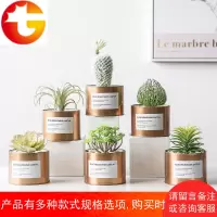 仿真植物多肉假草小盆栽北欧绿植仙人掌室内桌面摆件ins假花摆设