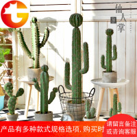 北欧创意仿真仙人掌盆栽客厅室内办公室橱窗仙人柱植物盆景大摆件