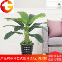 假绿植仿真植物装饰室内塑料假花盆栽客厅假树芭蕉树落地盆景摆设