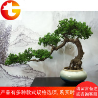 新中式仿真松树迎客松盆景罗汉松植物盆栽展厅客厅酒店禅意摆件